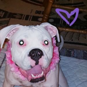 Meet your Posher, Debra